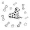 Dalmatian, dog, happy dalmatian, dog paws, bones, dog food, black and white dalmatian spots