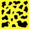 Dalmatian, dog, happy dalmatian, dog paws, bones, dog food, black and white dalmatian spots