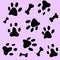 Dalmatian, dog, happy dalmatian, dog paws, bones, dog food, black and white dalmatian spots