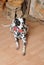 Dalmatian dog in a red bow tie in a rustic eco interior