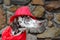 Dalmatian dog in a red hat and a scarf with tassels sits on the