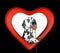 Dalmatian dog with a red rose in valentines heart. Isolated on black