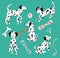 Dalmatian dog set. Cute puppy and toys.