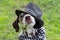 Dalmatian dog in a striped hat and a plaid scarf around his neck