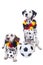 Dalmatian dog swith soccer ball