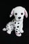 A Dalmatian dog toy with black spots for decoration