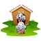 Dalmatian dog wood house isolated