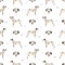 Dalmatian dogs seamless pattern. Different poses, coat colors set