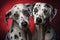 Dalmatian duo embraces, showcasing their heartwarming bond of love