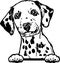 Dalmatian - Funny Dog, Vector File, Cut Stencil for Tshirt