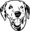 Dalmatian - Funny Dog, Vector File, Stencil for Tshirt