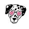 Dalmatian head in black and white hand draw illustration. Cute puppy with glasses in doodle style. Cheerful drawing for valentine