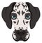 Dalmatian head icon. Cartoon dog. Pet face
