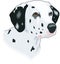 Dalmatian Head Illustration