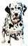 Dalmatian illustration Artificial Intelligence artwork generated