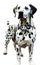 Dalmatian illustration Artificial Intelligence artwork generated