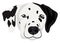 Dalmatian illustration vector