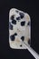 Dalmatian jasper stone texture in tweezers on black background. Macro closeup