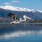 Dalmatian Pelican Flying Over Serene Lake with Snow Capped Mountains