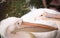 Dalmatian pelican head closeup