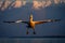 Dalmatian pelican hovers in mid-air near mountains