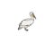 Dalmatian pelican icon. Outline dalmatian pelican vector icon for web design isolated on white background