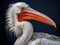 Dalmatian Pelican  Made With Generative AI illustration