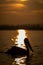 Dalmatian pelican silhouetted by sun on water