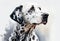 Dalmatian pet dog watercolour portrait painting