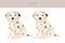 Dalmatian puppies clipart. Different poses, coat colors set