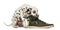 Dalmatian puppy chewing a shoe