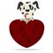 Dalmatian puppy with heart