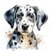 Dalmatian. Realistic watercolor dog illustration. Funny doggy drawing template. Art for card, poster and other