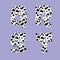 Dalmatian skin alphabet - letters Q-T
