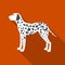 Dalmatian vector icon in flat style for web