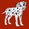 Dalmatians, cute puppy, sad. Vector Illustration Portrait of Dalmatian Puppy. Dog .