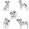 Dalmatians, cute, sad. Vector Illustration. Portrait of Dalmatian Puppy. Dog isolated.