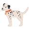 Dalmatians dog lovely cartoon character, flat vector illustration isolated.