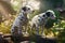 Dalmatians dogs garden summer. Generate Ai