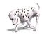Dalmation Dog. 3D rendering with clipping path