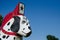 Dalmation dog painted Dala Horse wooden statue sits outside the Scandia Fire Department