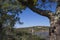 Dam of Cornalvo Reservoir from forest, Extremadura, Spain