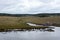 The dam, erected by beavers branches of the bushes, in the treeless part of Tierra del Fuego.