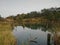 A dam in the forest.  Forest water landscapes