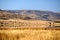 Dam in Pilanesberg National Park