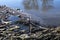 Dam of sticks and debris floating on the river, environmental pollution, water landscape, Sunny day.