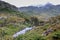 Damage made by beavers and beaver dam in Dientes de Navarino, Isla Navarino, Chile