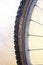 Damaged Bicycle Tire