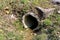 Damaged concrete drain pipe exit