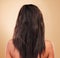 Damaged, hair and back of messy woman in studio, background or haircare for tangled, brittle or frizzy hairstyle. Repair
